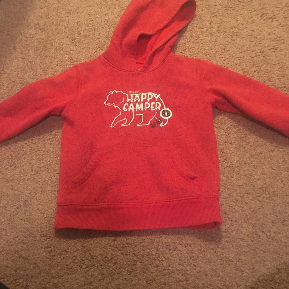 Toddler boys pull over hoodie